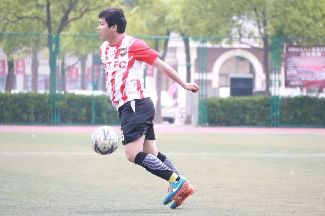 球盟会下载内容展示图